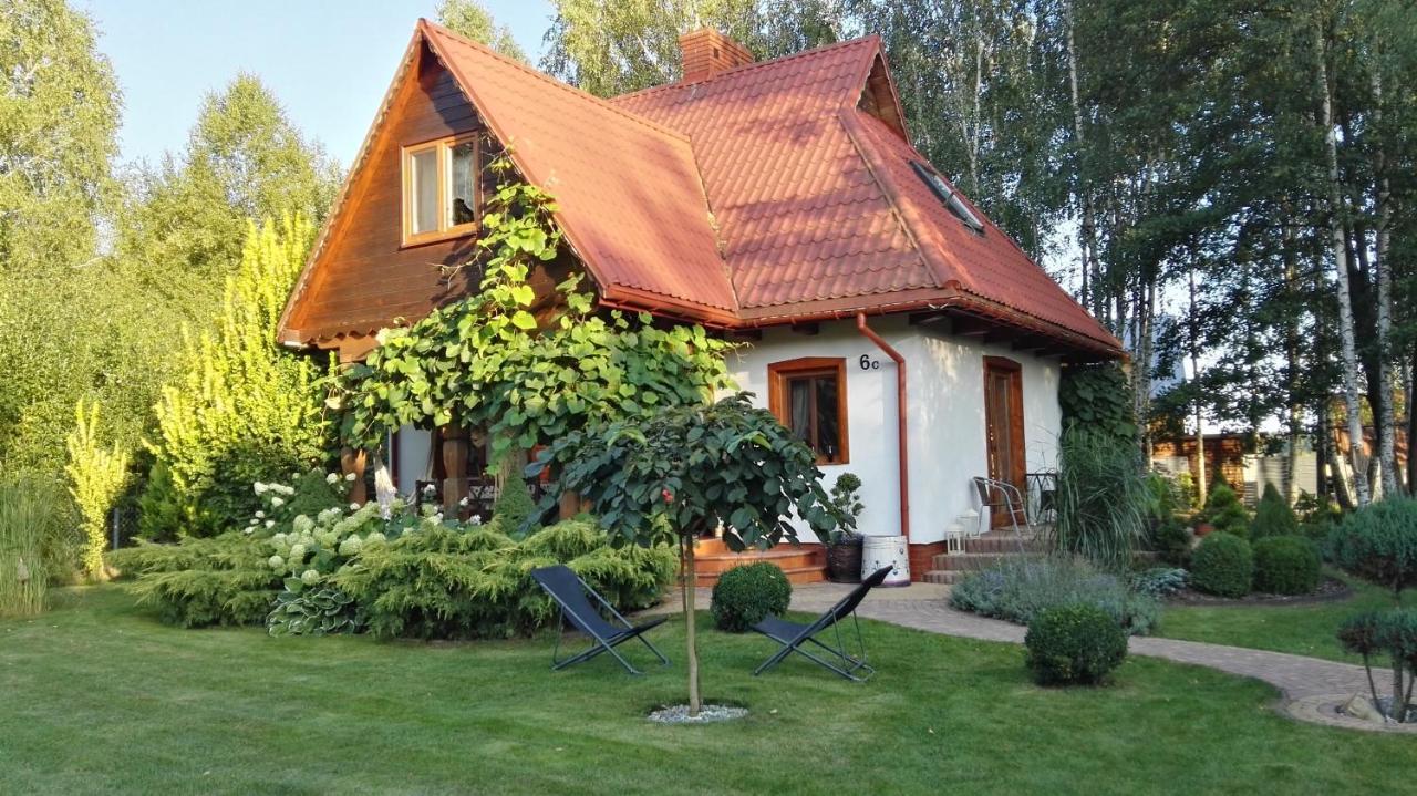 Siedlisko Gruszki Puszcza Bialowieska Narewka المظهر الخارجي الصورة