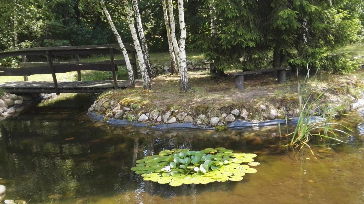 Siedlisko Gruszki Puszcza Bialowieska Narewka المظهر الخارجي الصورة