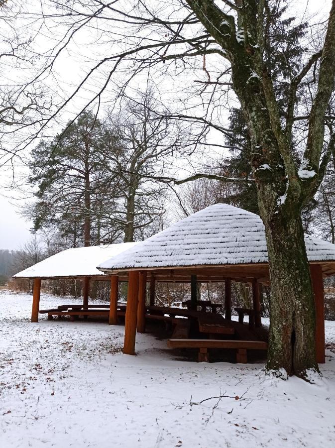 Siedlisko Gruszki Puszcza Bialowieska Narewka المظهر الخارجي الصورة