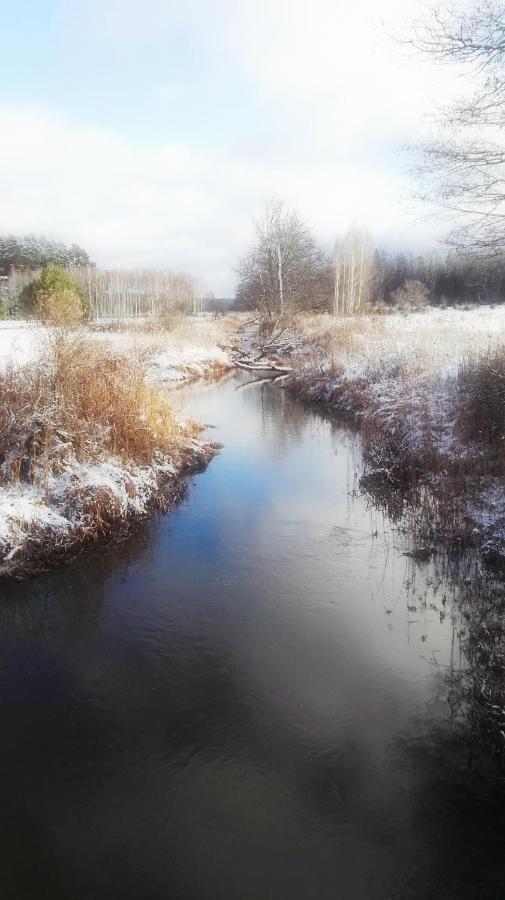 Siedlisko Gruszki Puszcza Bialowieska Narewka المظهر الخارجي الصورة