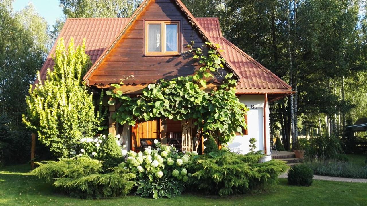 Siedlisko Gruszki Puszcza Bialowieska Narewka المظهر الخارجي الصورة