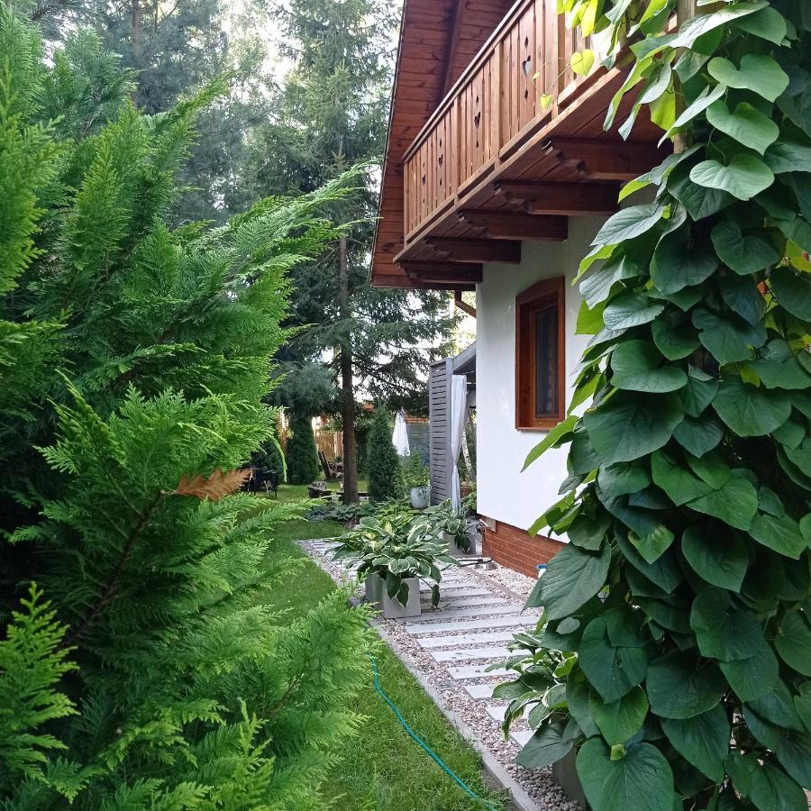 Siedlisko Gruszki Puszcza Bialowieska Narewka المظهر الخارجي الصورة