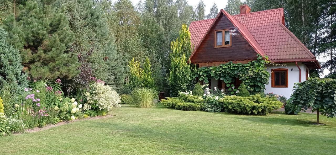 Siedlisko Gruszki Puszcza Bialowieska Narewka المظهر الخارجي الصورة